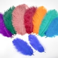 thumbnail image 2 of 10 piezas/lote de plumas de avestruz blancas para coser a mano, para vestidos, bodas, centros de mesa familiares, carnavales, plumas naturales, 2 of 5