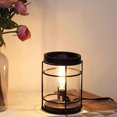 thumbnail image 2 of Electric For Wax Warmer Metal Edison Bulb For Birthday Gifts Wedding, 2 of 4