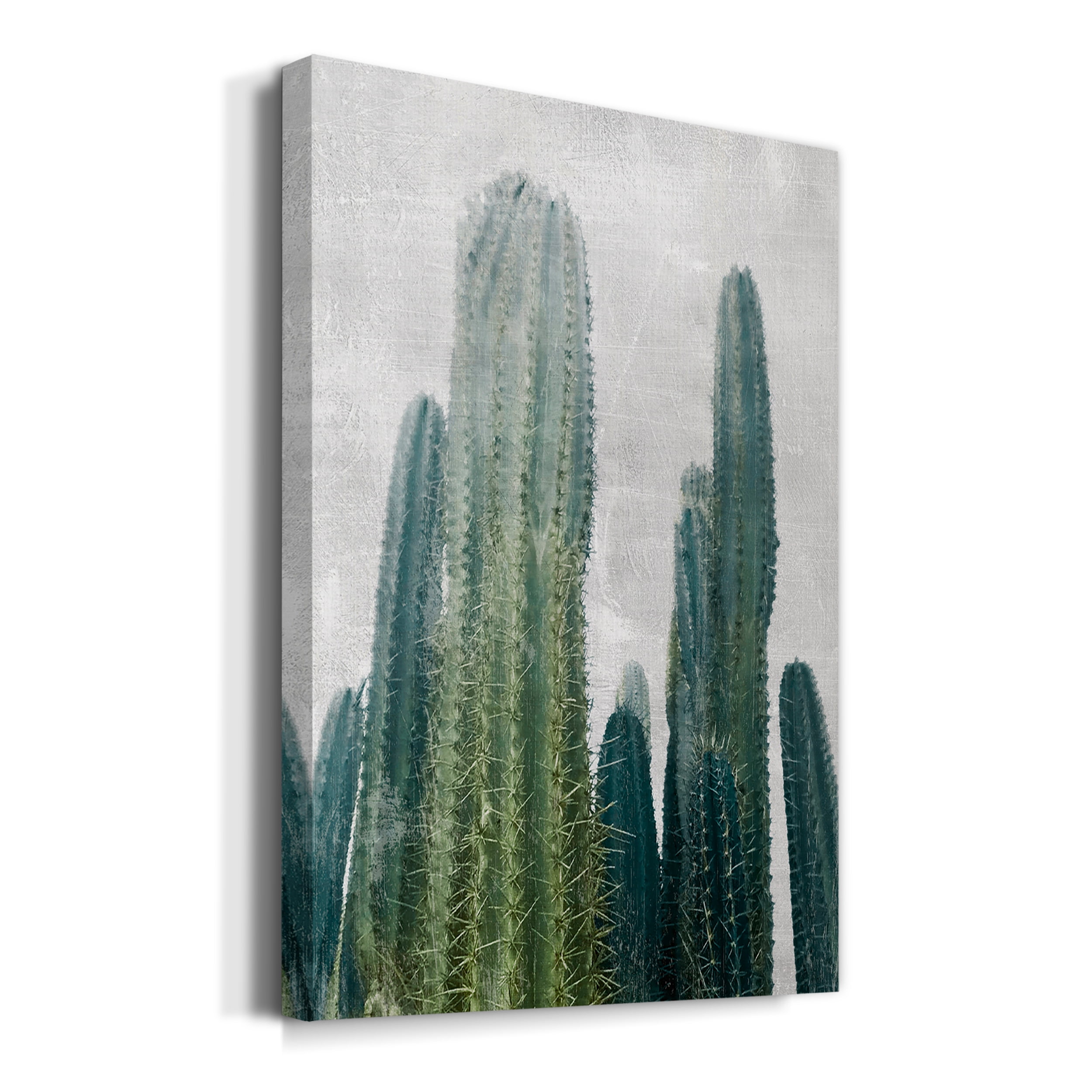 Aruba Cacti I Premium Gallery Wrapped Canvas - Ready to Hang - 8 x 12