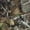 Realtree Edge®, variant on Ava 3.0 Pant