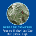 thumbnail image 5 of BioAdvanced Houseplant Insect & Mite Control 24oz Ready to Use, 5 of 8