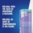 thumbnail image 5 of Red Bull Spring Edition Sugarfree 4x250ml, 5 of 5