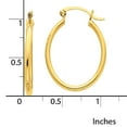 thumbnail image 3 of Primal Gold 14 Karat Yellow Gold Oval Hoop Earrings, 3 of 4