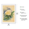 thumbnail image 2 of Hawaiian Night Blooming Cereus (Panini o Kapunahou) - Honolulu Queen of the Night - Vintage Hawaiian Airbrush Art by Ted Mundorff c.1940s - Japanese Unryu Rice Paper Art Print (Unframed) 18 x 24 in, 2 of 4