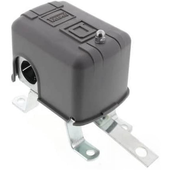 Square D Liquid Level Switch w/Reverse Lever, Open On Rise, NEMA 1 460V