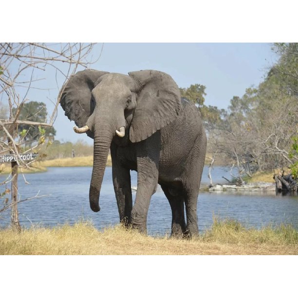 Taladro de pintura de diamante (DE4517) 5D imágenes completas Riverside elefante DIY punto de cruz 30x40cm FLhrweasw Nuevo