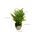thumbnail image 2 of Juego de 4 macetas con planta artificial para decoración del hogar, oficina Storyland Storyland 57698, 2 of 3