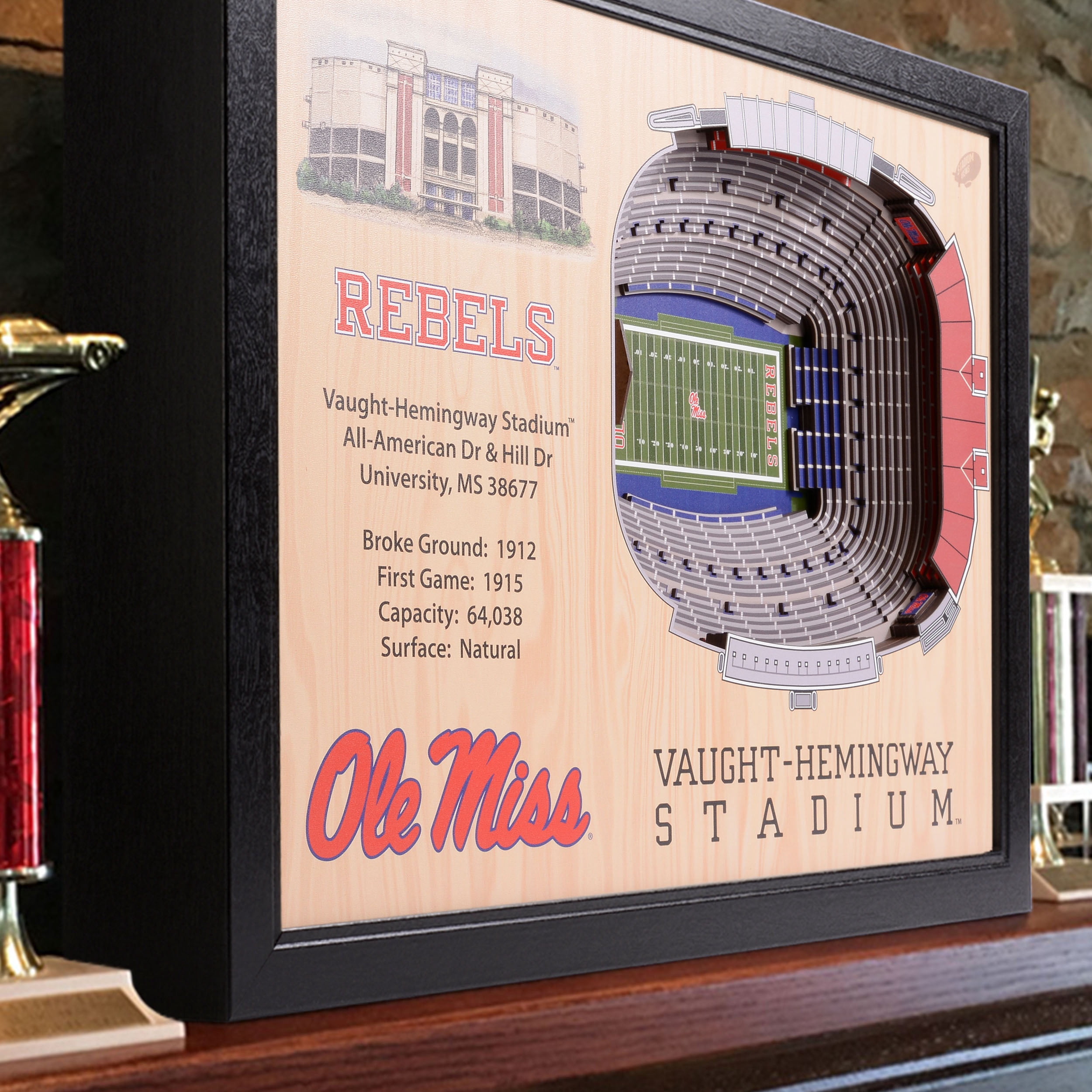 YouTheFan NCAA Mississippi Rebels FB 25-Layer Stadiumview Wall Art
