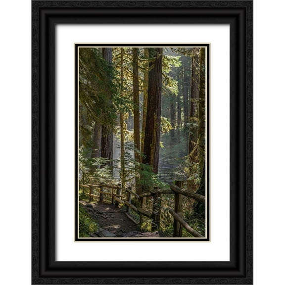 Jaynes Gallery 23x32 Black Ornate Wood Framed with Double Matting Museum Art Print Titled - Washington State-Olympic National Park Walkway past trees and creek