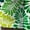 Green, variant on Men's Tracksuit 2 Piece Short Sleeve T-Shirt and Shorts 3D Digital Print Graphic Sets Summer Casual Beach Sets