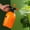 2L Orange G2039B, variant on 1 Set,Hand Press Water Sprayer - 2L Garden Watering Can with Adjustable Head for Plants and Potted Flowers - Air Compressed Pump
