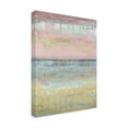 thumbnail image 2 of Trademark Fine Art 'Dusted Horizon II' Canvas Art by Jennifer Goldberger, 2 of 4