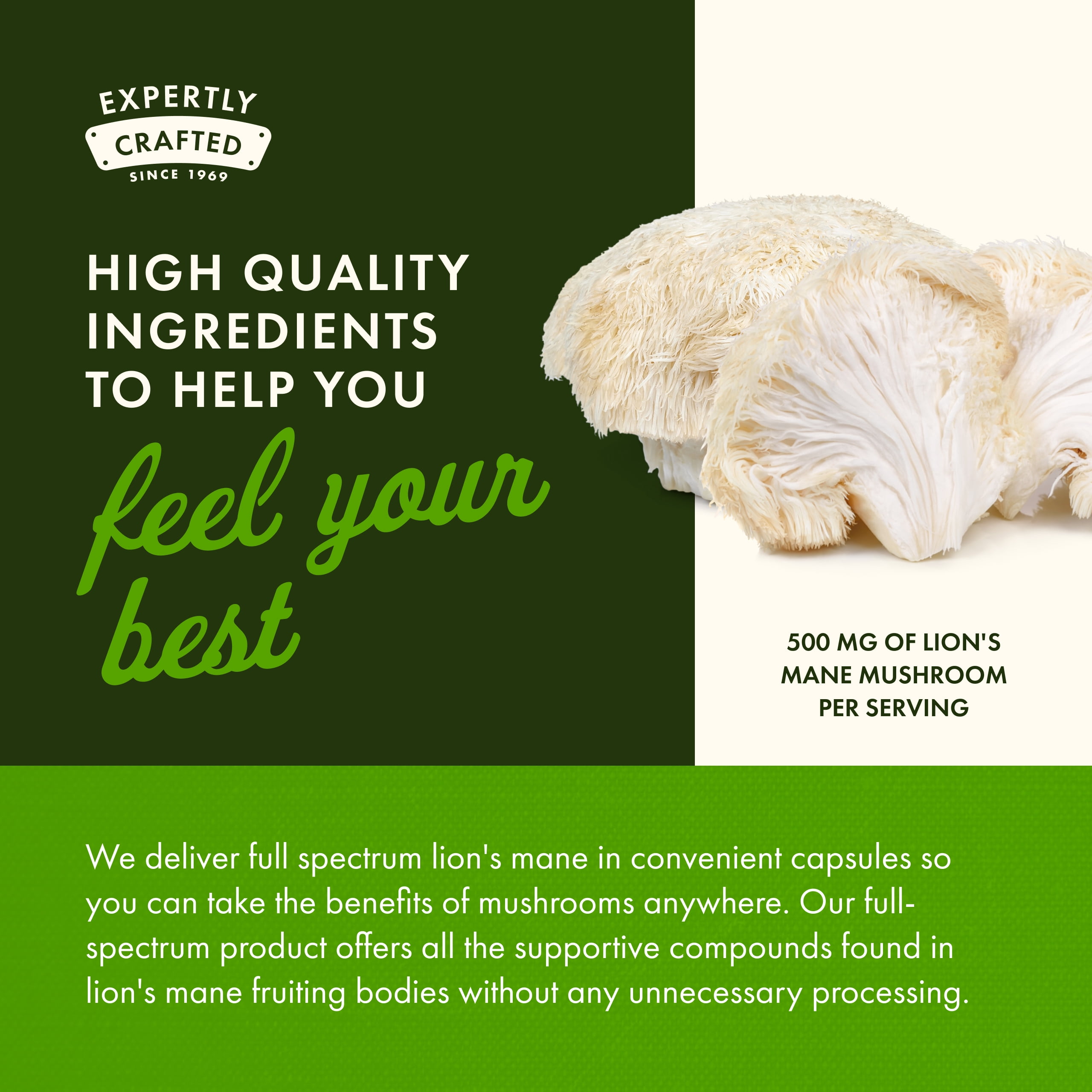 Swanson Lion's Mane Mushroom-Herbal Supplement Promoting Mental Focus, Clarity, & Memory Support-Traditional Brain Booster Supplement Made from Hericium Erinaceus-(60 Capsules, 500mg Each) 2 Bottles