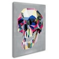 thumbnail image 2 of Trademark Fine Art 'Skull' Canvas Art by Artpoptart, 2 of 3