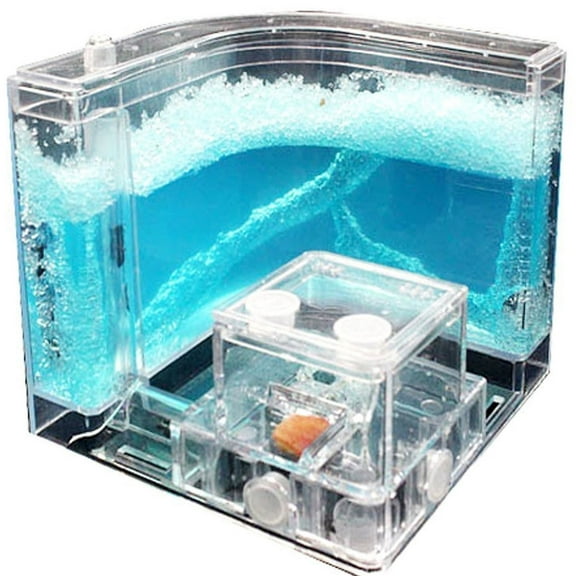 Antsir Ant Farm Nursery Gel Maze 3D Educational Live Feeding System Habitat