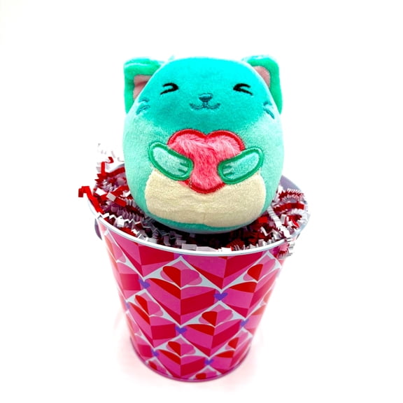 Timeless Desserts Valentine's Day Gift Basket Squishmallow Custom Crafts Elastic