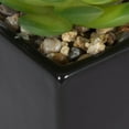 thumbnail image 2 of Kibo Mini Faux Succulent Black Pot, 2 of 4