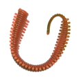 thumbnail image 2 of Mosiee Appâts de Pêche en Plastique Souple Premium Lot de 10 Leurres Réalistes 8Cm Tpr Infusé de Crevettes Rouges Accessoires de Pêche, 2 of 9