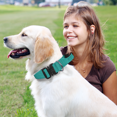 thumbnail image 4 of MoNiBloom Adjustable Pet Dog Collar with Buckle, Safety Polyester Collars for Medium Large Dogs, Teal, 4 of 9
