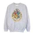 thumbnail image 1 of Harry Potter Boys Hogwarts Crest Sweatshirt, 1 of 4