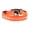 Style1, variant on DESIGNICE Light Up Dog Collar Recharge and Shine Dog Light Up Collar Visibility with Style Glow