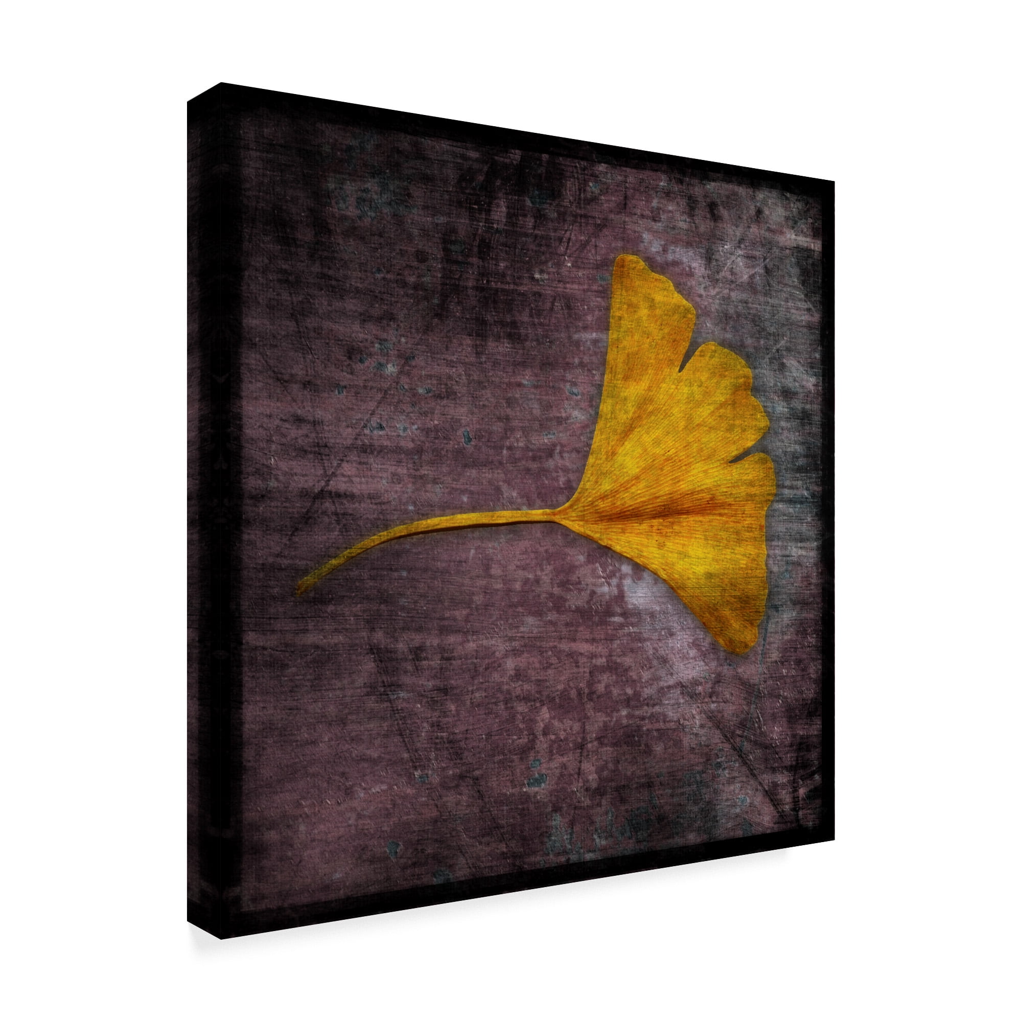 Trademark Fine Art 'Gingko Purple' Canvas Art by John W. Golden