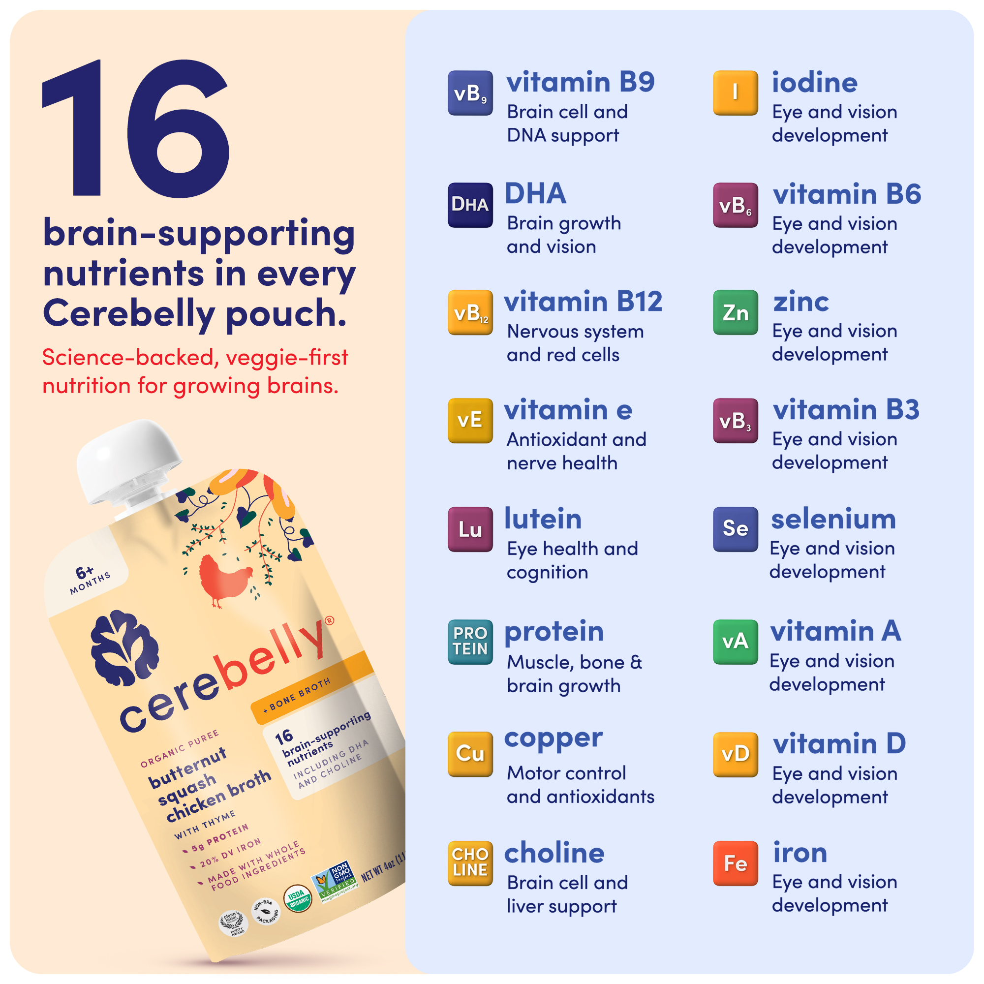 (12 pack) Cerebelly Stage 2 Baby Food Pouch, Organic Butternut Squash & Chicken Broth, 4 oz