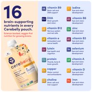 (12 pack) Cerebelly Stage 2 Baby Food Pouch, Organic Butternut Squash & Chicken Broth, 4 oz