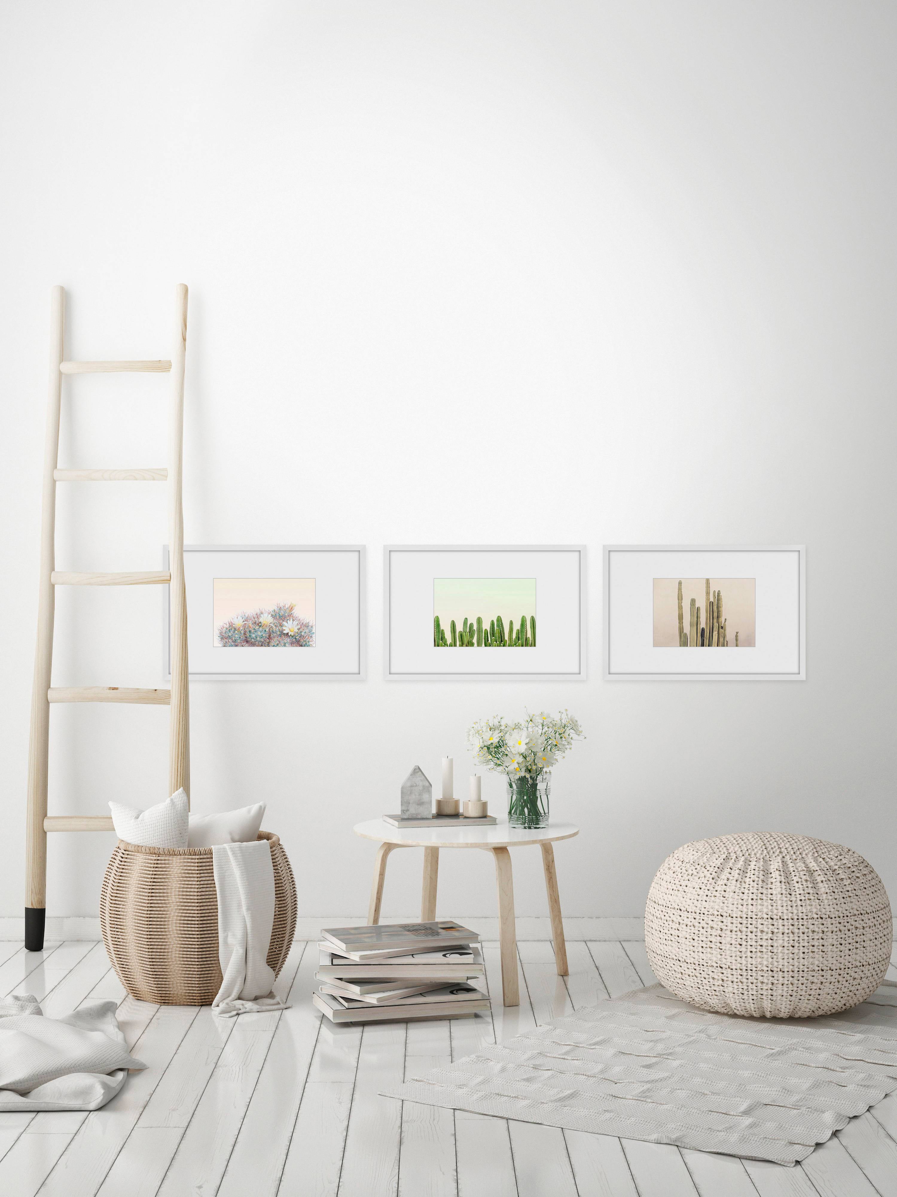 Floral Cactus Triptych, Art Prints, 135.00" x 1.50"