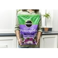 thumbnail image 3 of Miracle-Gro African Violet Potting Mix, 8 qt., Feeds for Up To 6 Months, 3 of 6