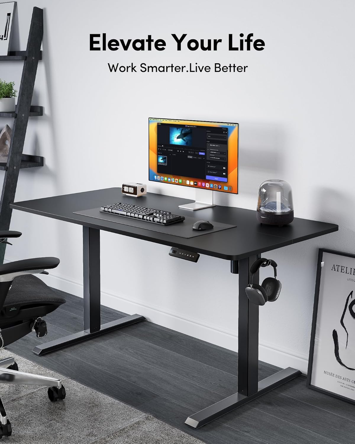 DESINO 55"x28" Electric Standing Desk, Height Adjustable Sit Stand Desk with Memory Presets, Ergonomic Home Office Desk, Anti-Collision Smart Lift Table, Black