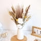 thumbnail image 2 of Hierba seca, ramo de flores de caña, decoración de bohemio para en hogar, accesorios de fotografía, arreglo floral, 2 of 7