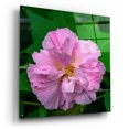 thumbnail image 2 of Epic Art 'Flower' by Epic Portfolio, Acrylic Glass Wall Art, 36"x36", 2 of 8