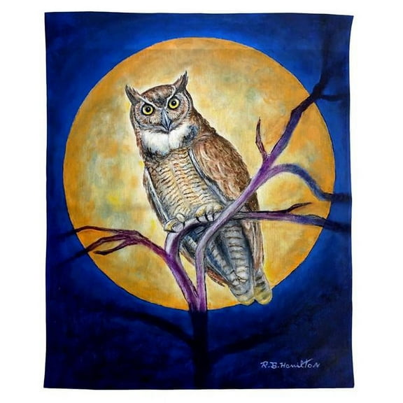 Betsy Drake Interiors Owl in Moon Wall Hanging 24x30