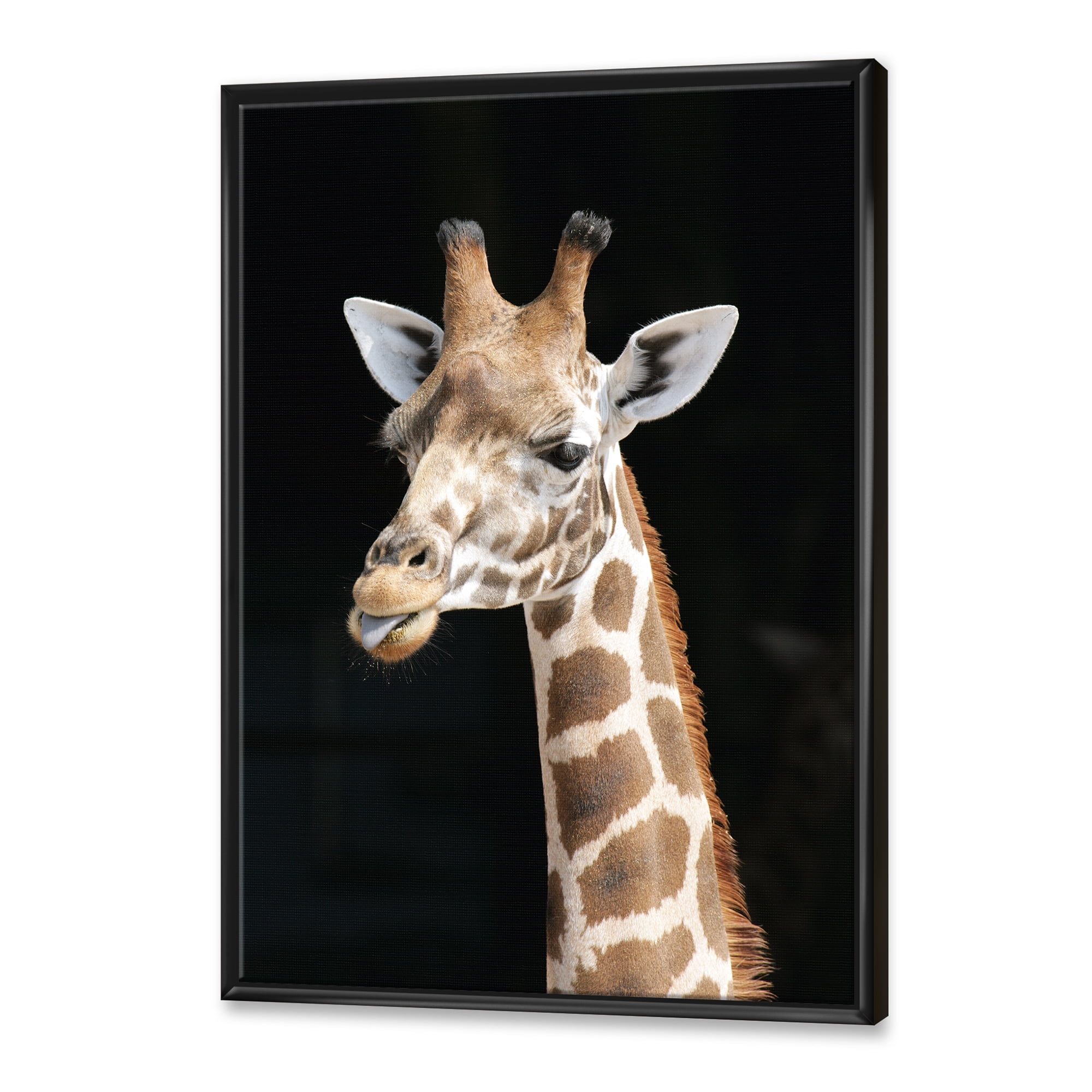 Designart 'Close Up Portrait Of A Giraffe On Black III' Farmhouse Framed Canvas Wall Art Print