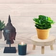 thumbnail image 3 of Flowerpot Stand Wicker Plant Pots Indoor Wooden Stool Shelves for Plants Decor Rattan Basket Glass Stool-shaped Pedestal Child, 3 of 6