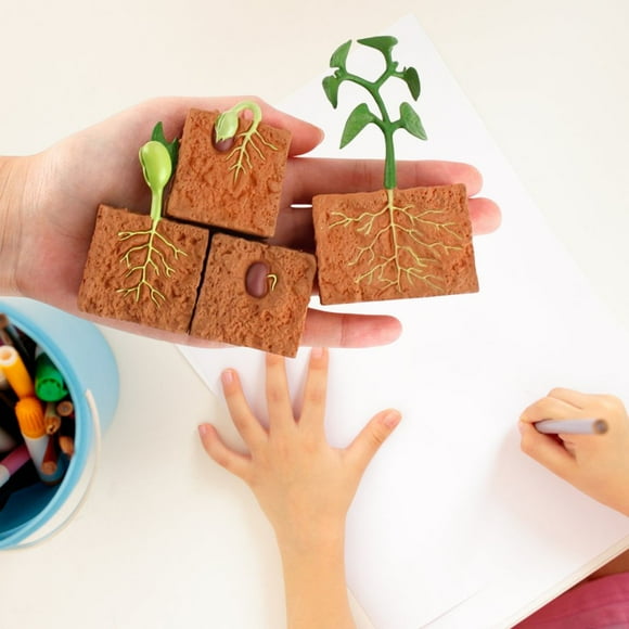4Pcs Pvc Plant Growth Cycle Action Figures Creative Plant Life Cycle Figurine For Home Living Room Desktop Decoration