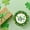 B-7" Plate*24, variant on St. Patrick's Day Party Supplies Set Disposable Green Themed Plates, Cups, Napkins & Tablecloth with Shamrock Print, for Lucky Irish Celebration, Home, Bar, or Office Party
