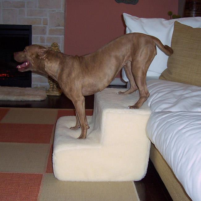 PetStairz 2sbdsd Big Dawg Foam Pet Stairs 2 Step
