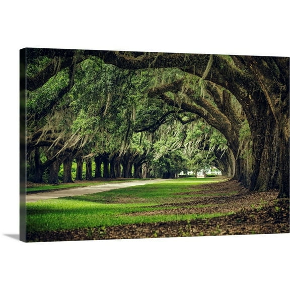 Great BIG Canvas Landscapes Photography