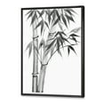 thumbnail image 3 of Designart 'Vintage Black and White Bamboo' Traditional Framed Canvas Wall Art Print, 3 of 5