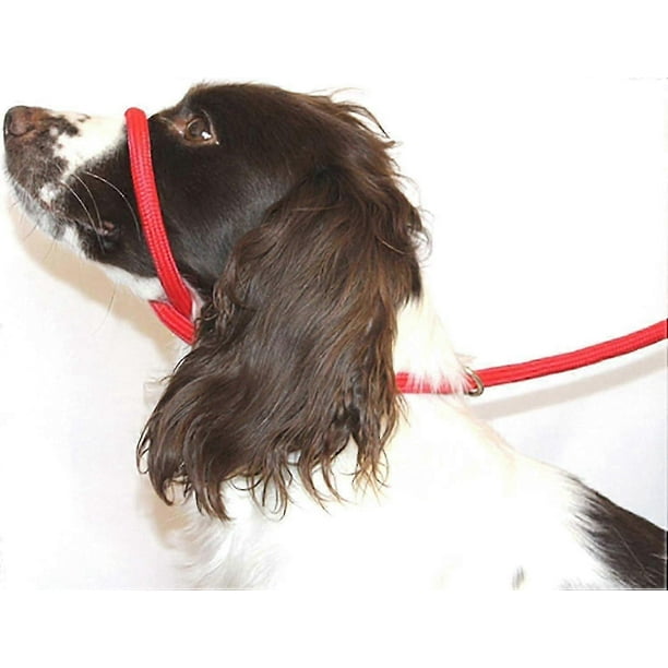 Figure 8 Anti Pull Lead / Halter / Head Collar (RED) - One Size Fits All - Super Soft Braided Nylon - Fitting Instructions Included- Comfortable, K