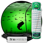 Green Blob Outdoors Underwater Fishing Light, Dock Pro Model Series 75DX, 110 Volt AC, with 3 Prong Plug and 30ft Cord, High Powered Fish attracting, Saltwater, Freshwater, Snook, Crappie, Bass, Shad