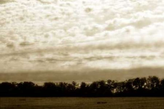 Clouds And Fields I