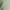 Green, variant on Tinseltown Trendy Plus Size Tie Waist Jogger Pants Ghute Green 20W