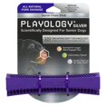 thumbnail image 1 of Barra masticable dental Playology Silver de Dog Toy para perros mayores, 1 of 7