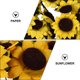 thumbnail image 3 of 200pcs flor artificial caja de regalo decoración DIY Girasol Candy Candy Accesorios, 3 of 4
