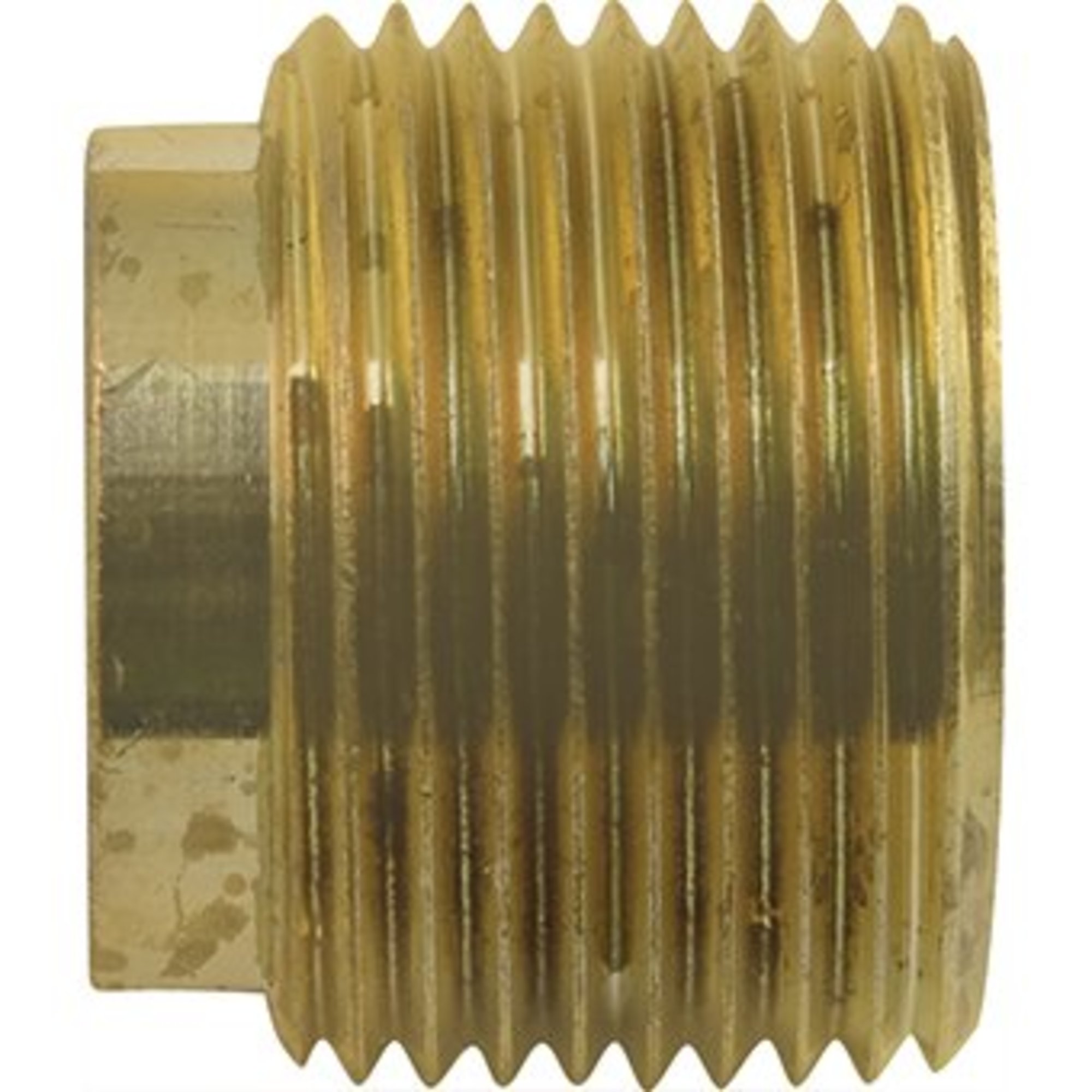 Temptrol Brass Gland Packing Nut
