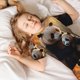 thumbnail image 5 of Balery Maple Forest Panda Conjunto de Pijama Infantil de Manga Corta con Estampado – Ropa de Dormir de Algodón Suave-3X-Large, 5 of 6