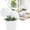 White(1PCS), variant on Garloy Artificial Mums Flowers In Vase Faux Chrysanthemum Silk Flowers Potted Plant Fake Plants & Flowers With Pot Floral Arrangements Bouquets Flower Home Decor Small Fake Plants Pink 1 Pack 4.7"x2"